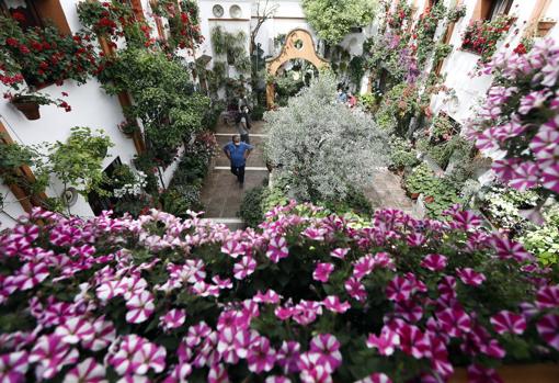 Todo lo que necesitas saber sobre los Patios de Córdoba 2022