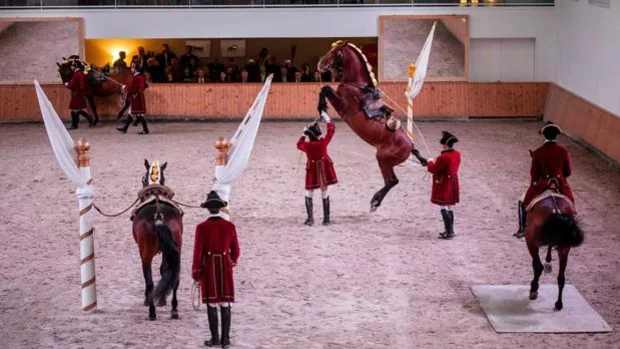 Patios de Córdoba 2022 | La Escola Portuguesa, invitada del espectáculo ecuestre extraordinario