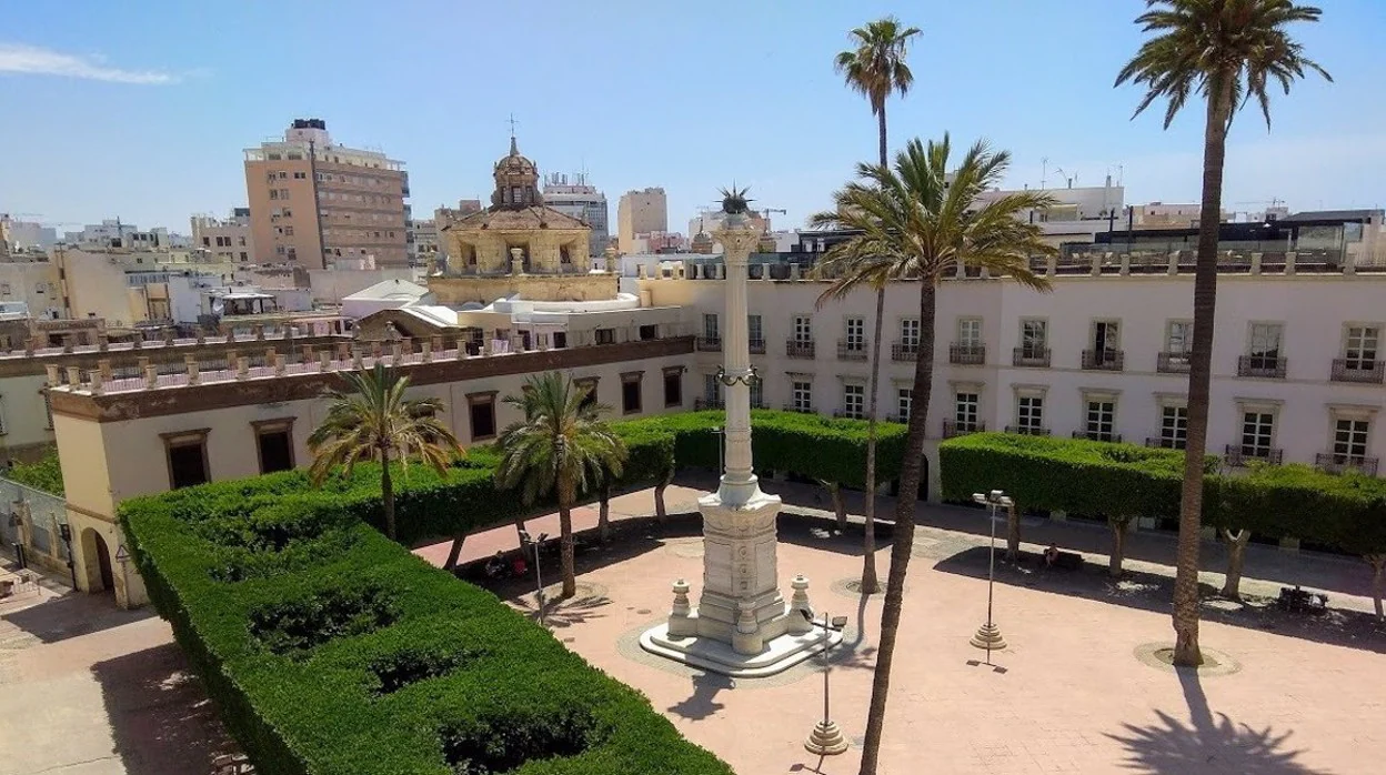 Los ficus de la Plaza Vieja de Almería permanecerán a pesar de las obras.