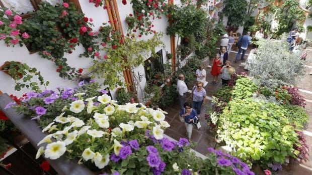 Diez curiosidades sobre los Patios de Córdoba que no conocías