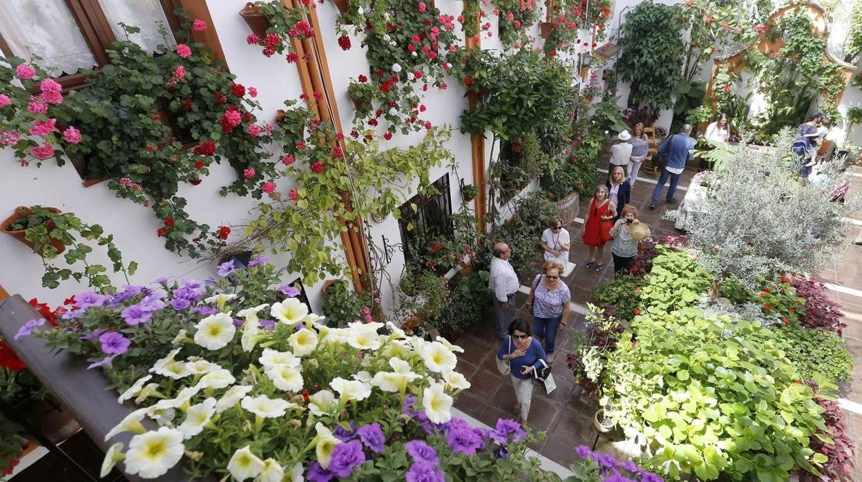 Patio de Córdoba