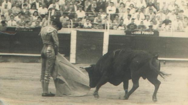 El Museo Taurino de Córdoba programa conferencias y una exposición sobre José María Montilla