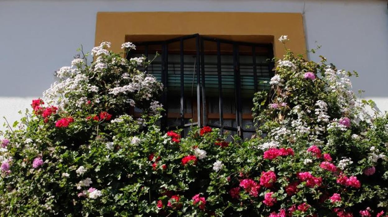 Uno de los balcones engalanados con flores en Córdoba este 2022