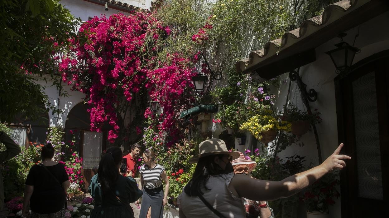 Visitantes en el patio de la calle de La Palma en un día soleada