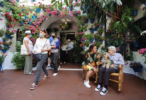 Patio de Tinte, 9, uno de los clásicos del certamen