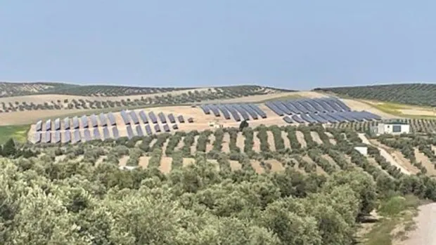 Regantes de Jaén pierden dos millones por no poder vender sus excedentes de energía solar