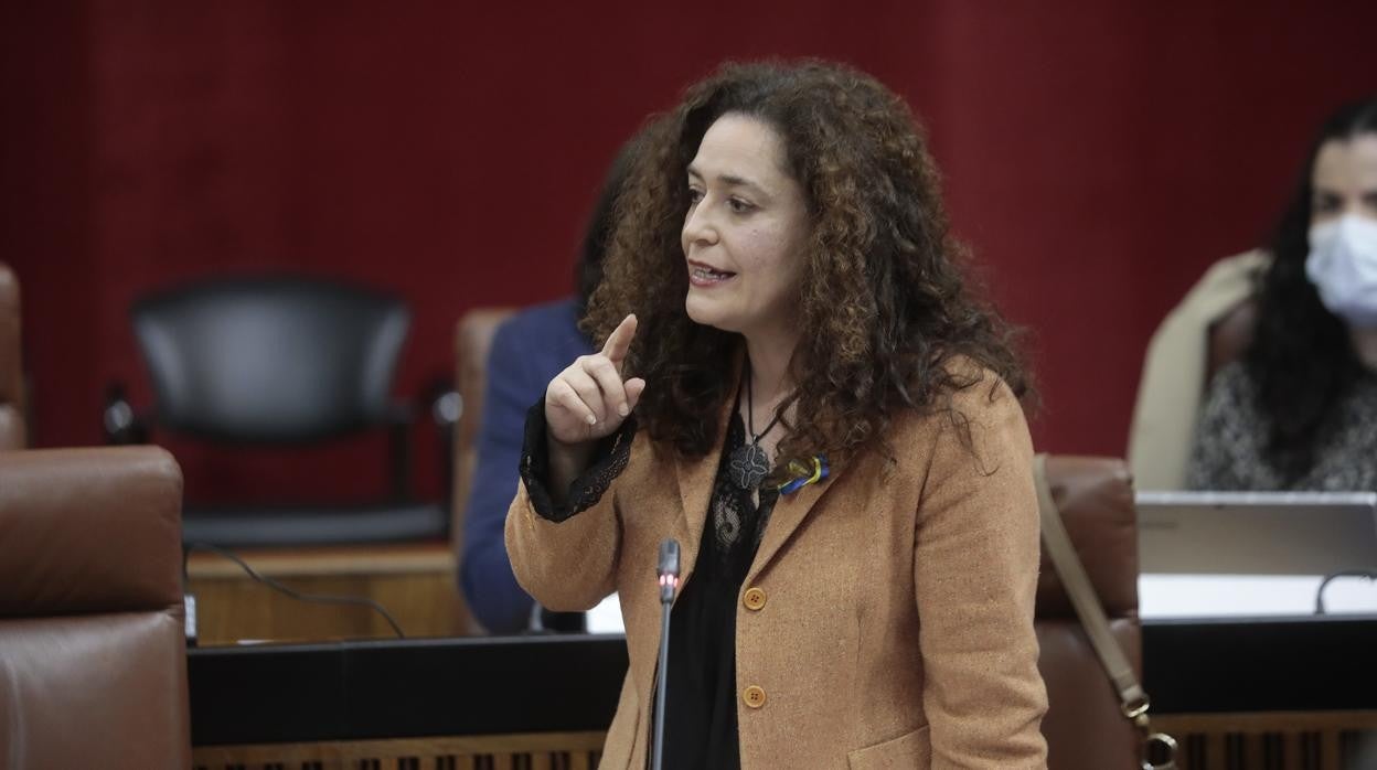 Inmaculada Nieto, de Unidas Podemos