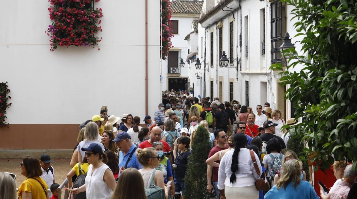 Colas en la jornada del sábado para acceder a uno de los patios