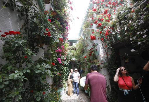 Turistas en los patios durante la jornada del sábado