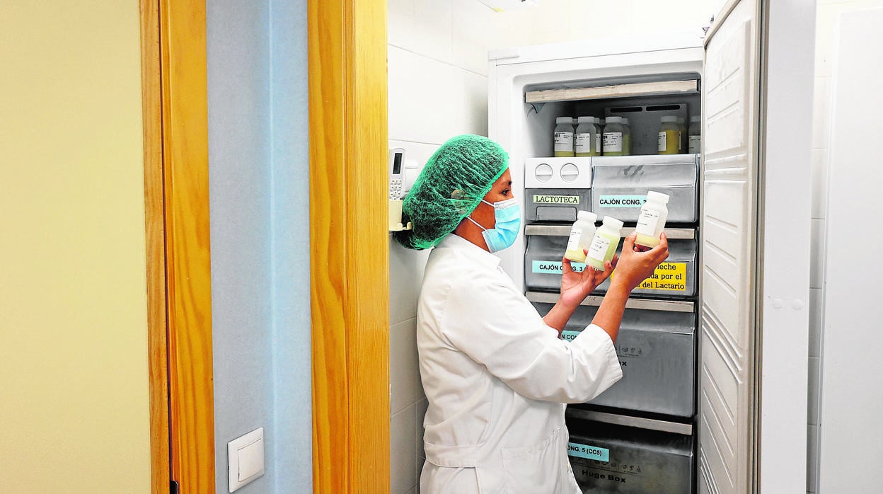 La doctora Katherine Flores en el depósito de leche del Banco del Reina Sofía