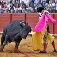 Vuelve la Feria de Córdoba más ansiada tras tres años de ausencia por la pandemia