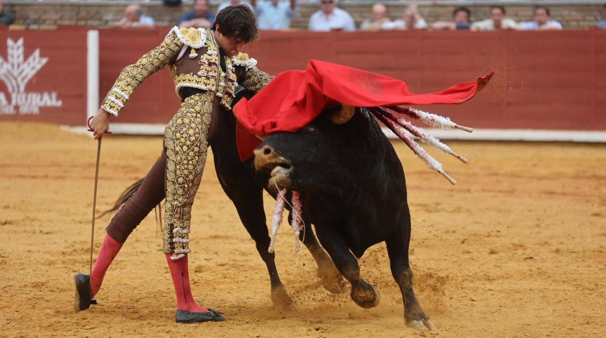 Toros en Córdoba | El arrastre: De la historia y la bravura