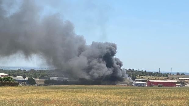 Un incendio calcina una fábrica del sector cárnico en Hornachuelos