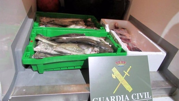 Intervenidos en Jaén 51 kilos de pescado y pulpo no aptos para el consumo