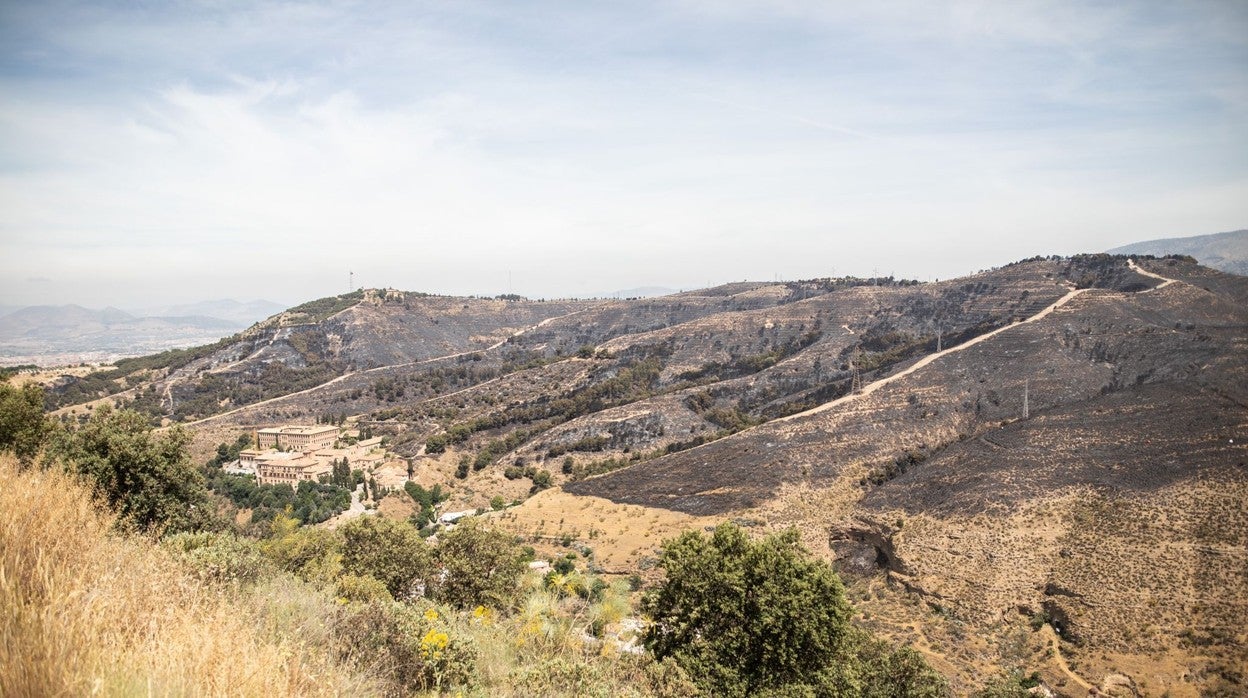 Imagen de la zona afectada tras el incendio del pasado domingo en Granada