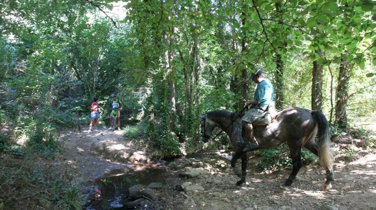 La ruta del arroyo Bejarano y los Baños de Popea es una de las más concurridas en la capital cordobesa