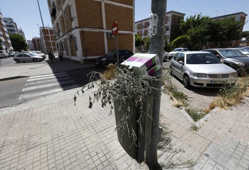 La suciedad en las calles es el segundo gran problema de Córdoba para sus vecinos