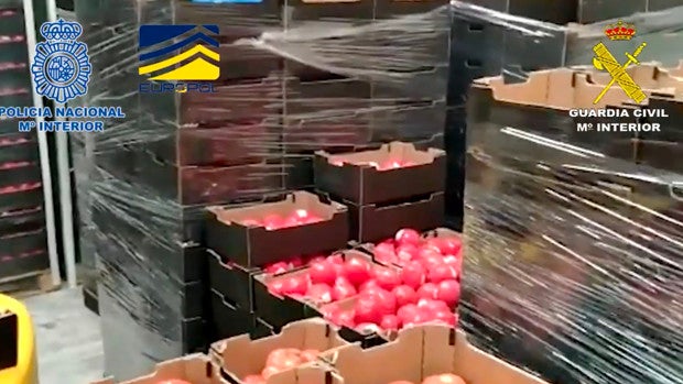 Trece toneladas de hachís en forma de tomates en Málaga hacen caer la alianza entre cárteles del Estrecho