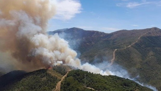 Un incendio en Pujerra (Málaga) vuelve a encender todas las alarmas en Sierra Bermeja