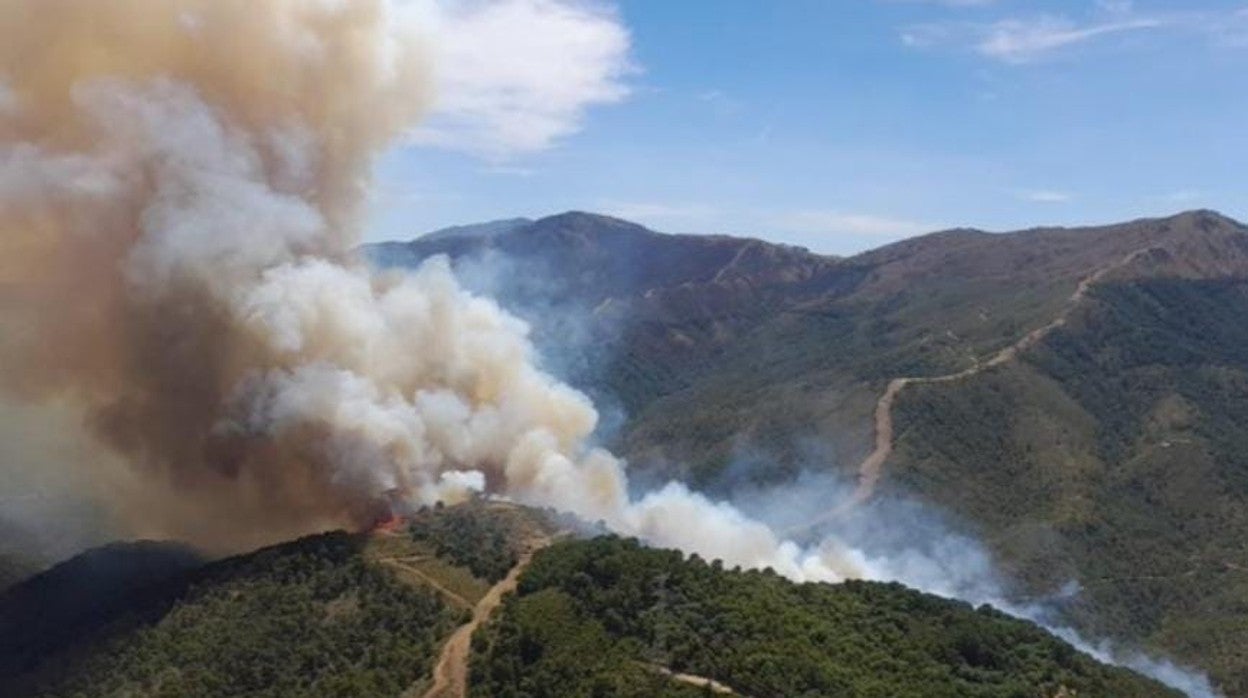 Vista aérea del fuego