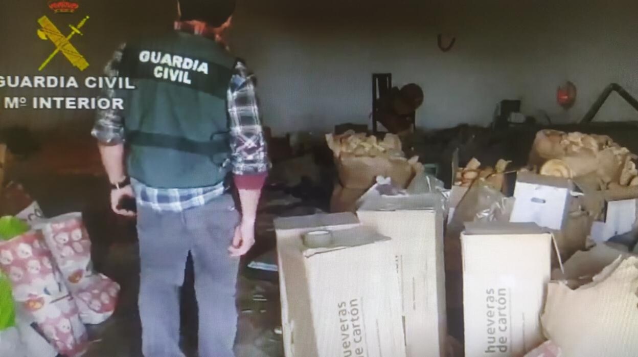 Un agente del Seprona en las instalaciones del matadero ilegal que distribuía carne a Lucena