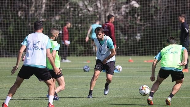 ¿Qué fichajes le quedan al Córdoba CF para la próxima temporada?