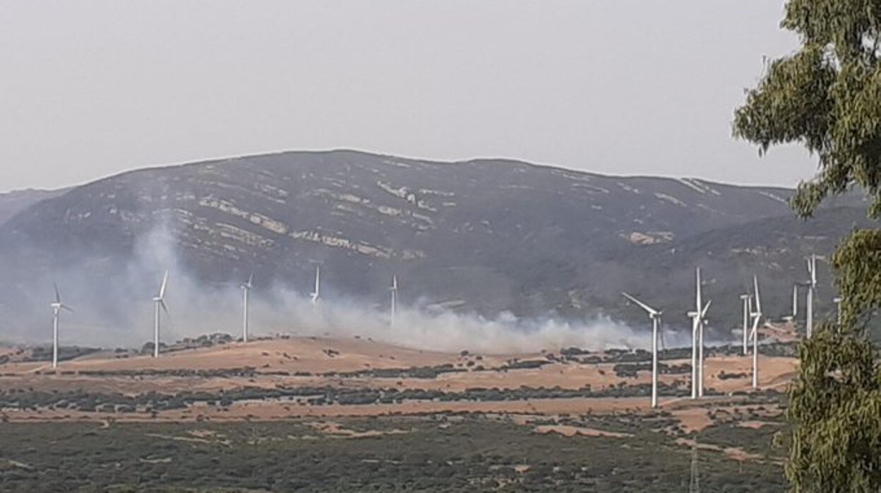 Imagen del incendio en la finca El Pedregoso de Tarifa