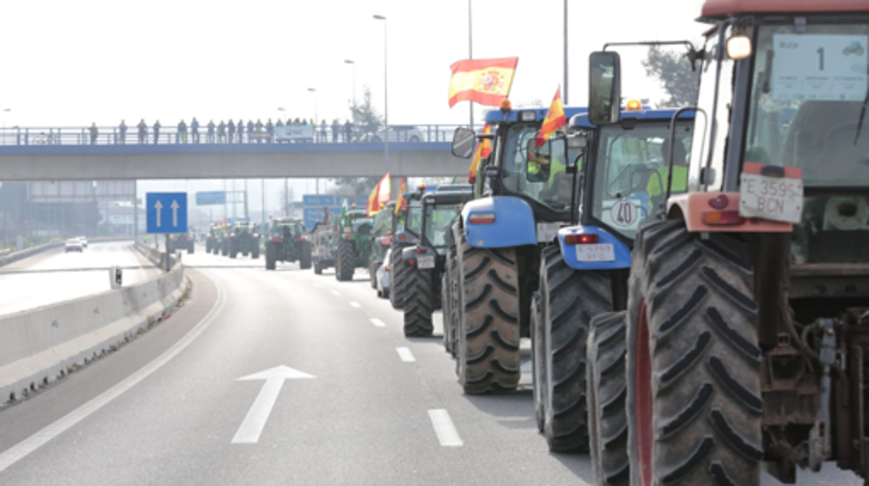 Imagen de la tractorada llevada a cabo en Granada en 2020