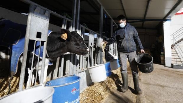 La falta de agua en el Norte de Córdoba pone en jaque al sector ganadero