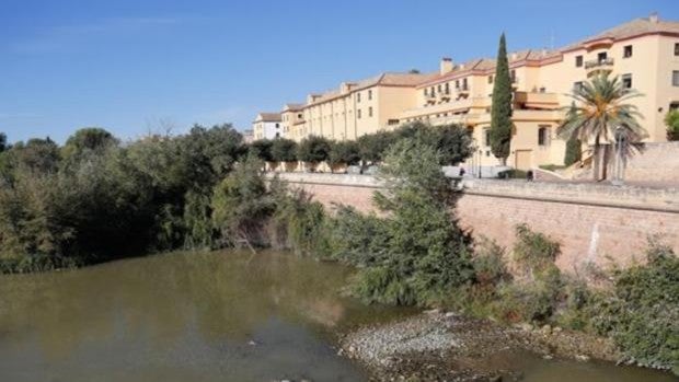 Accidente Córdoba | Herido un joven de 22 años tras caer desde unos cuatro metros en la zona de la Ribera