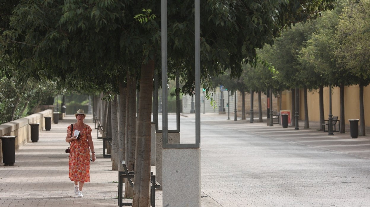 Una mujer se refugia del sol bajo la sombra de los árboles