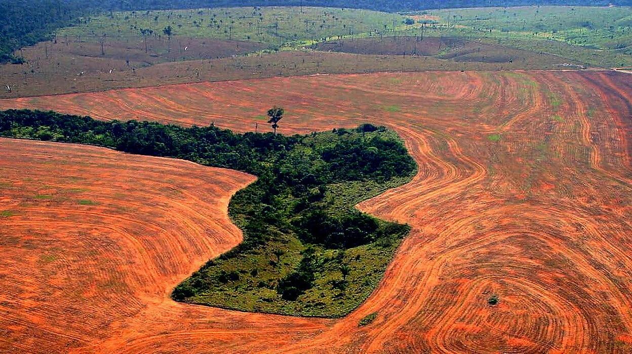 Deforestación de la Amazonia.