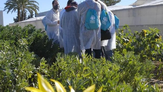 Un vaso de agua para regar todo un campo de habas