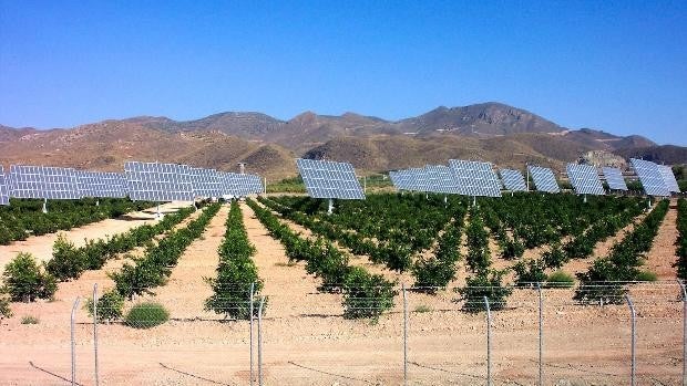 ¿Hay tierra suficiente para cultivos, ganadería y placas solares?