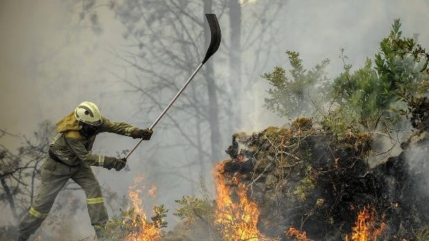 Biomasa, la otra fuente de energía renovable aliada contra los incendios