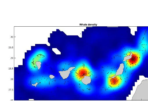 Mapa densidad balelenas Islas Canarias