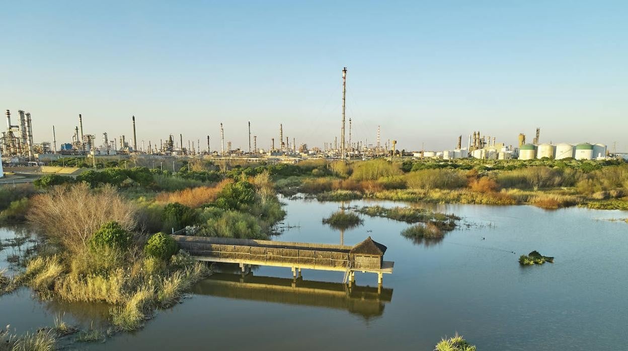 Instalaciones de Cepsa en Palos de la Frontera (Huelva) donde se fabricará el biocombustible.