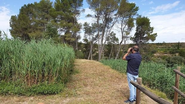 Así limpian el agua contaminada los lodos de depuradora