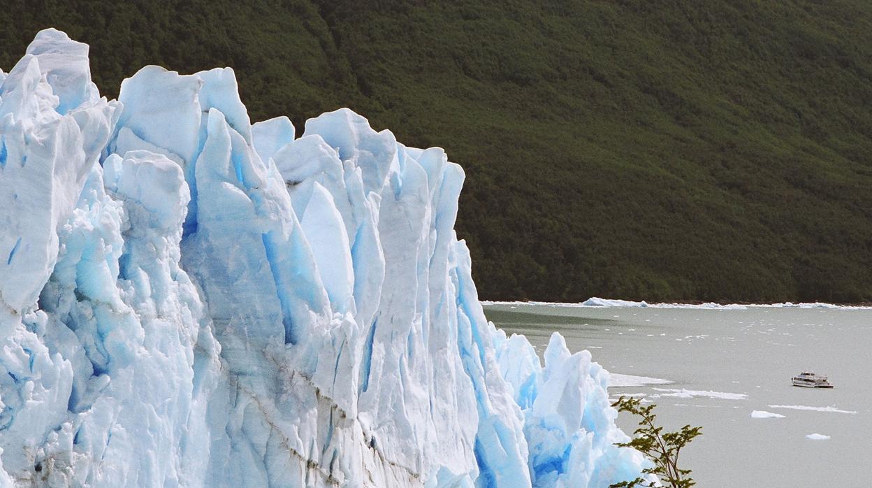 Imponente glaciar se adentro en Lago Argentino, en la Patagonia.