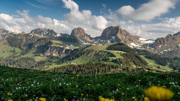 La naturaleza huele ahora diferente y la causa es el cambio climático