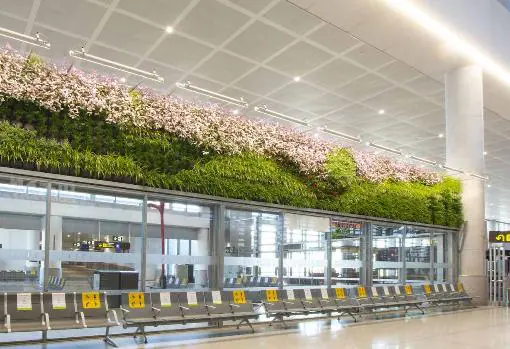 Jardín vertical del aeropuerto de Málaga instalado por Acer Espacios Naturales.