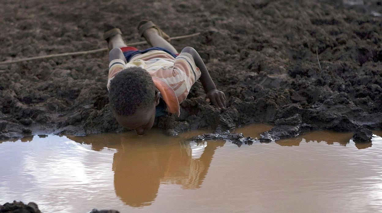 Un niño bebe agua de un charco en la aldea de Bule Duba, en Etiopía.