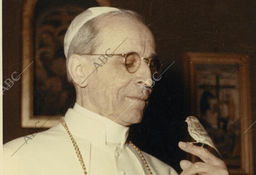 Pío XII, con un pajarillo