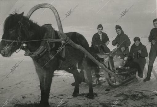 Voluntarios españoles marchan en trineos sobre la estepa helada