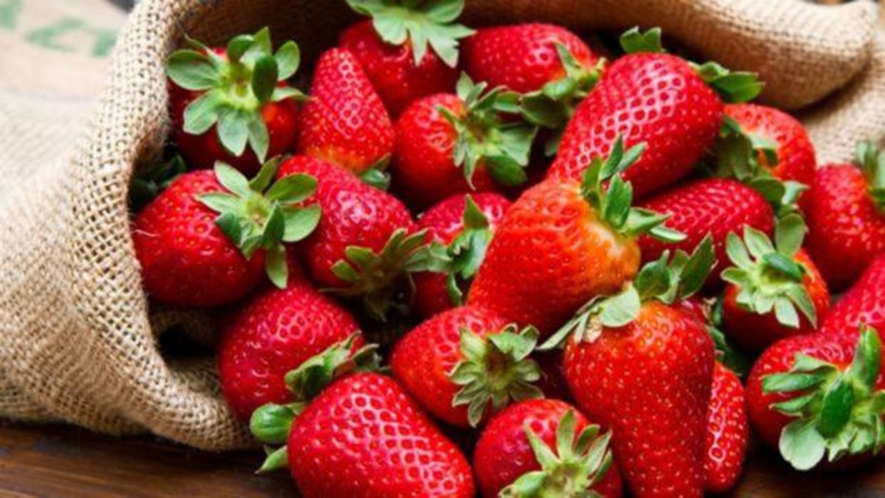 Las fresas tienen capacidad antioxidante