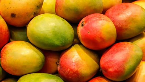 Mango, una fruta tropical
