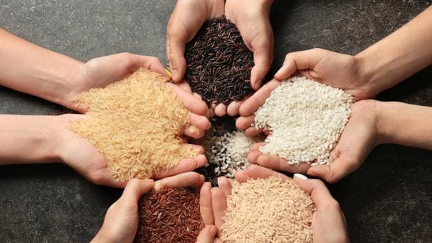 Tipos de arroz: en qué se diferencian y cuál es el mejor