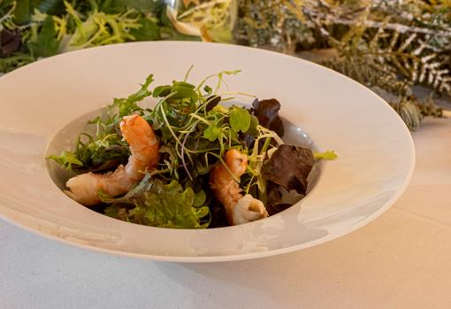 Ensalada con langostinos y coulis de ajoblanco