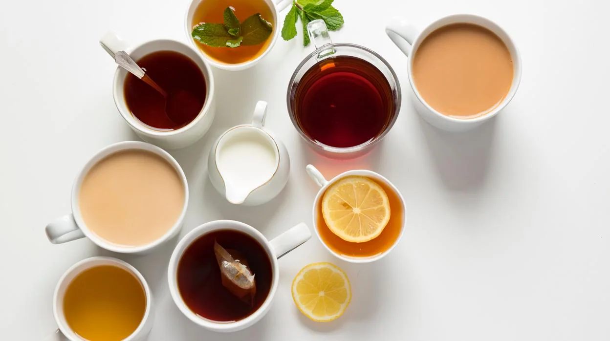 Las mejores ofertas en Infusores de té