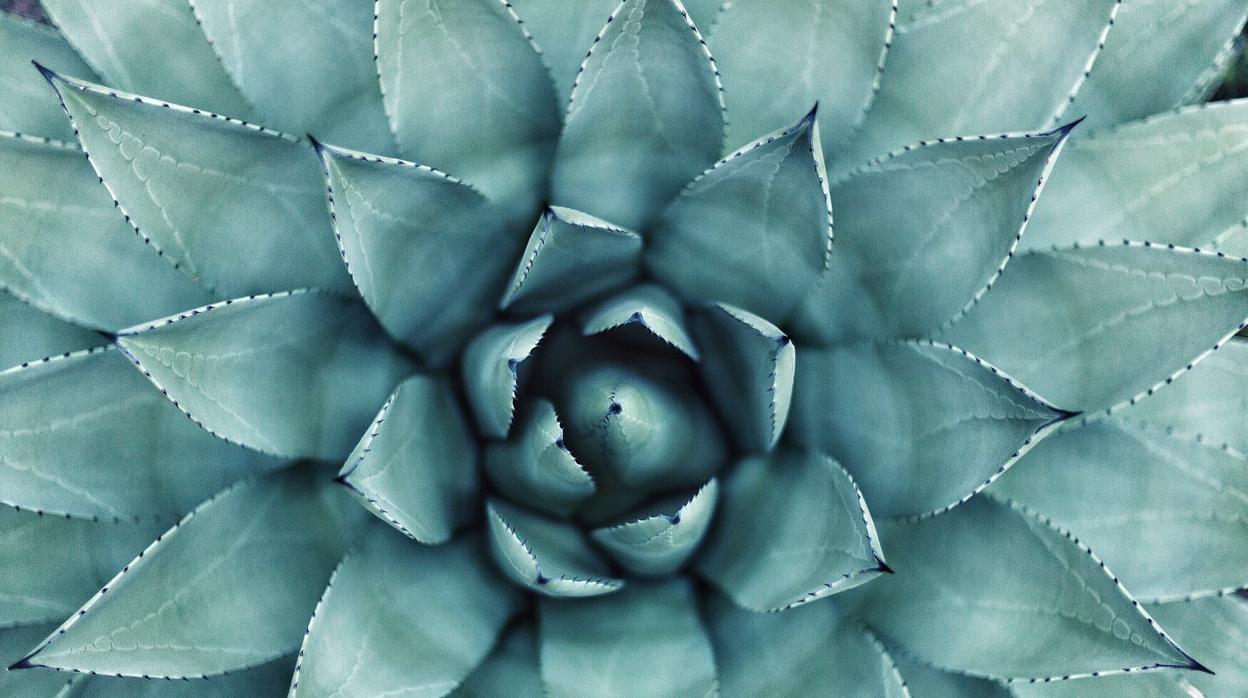 Escuchar nuestro interior ayuda a sacar lo mejor de nosotros mismos.